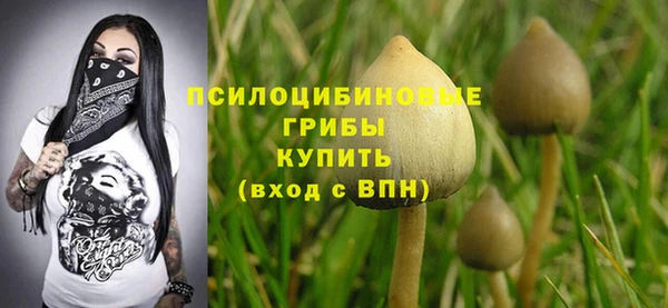 амфетамин Лабытнанги